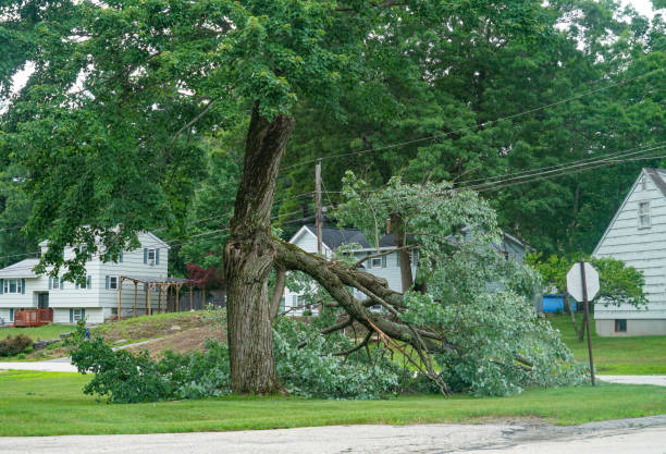 Mulching Services in Sheldon, IL